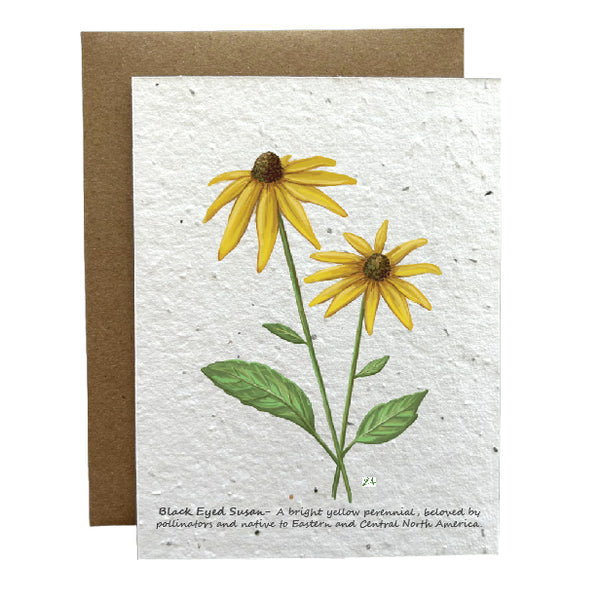 Black Eyed Susan Eco-Friendly Greeting Card