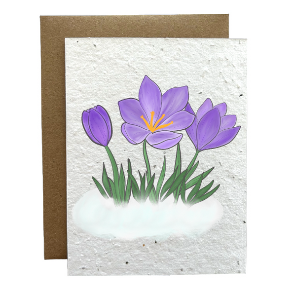 Crocus Eco-Friendly Greeting Card