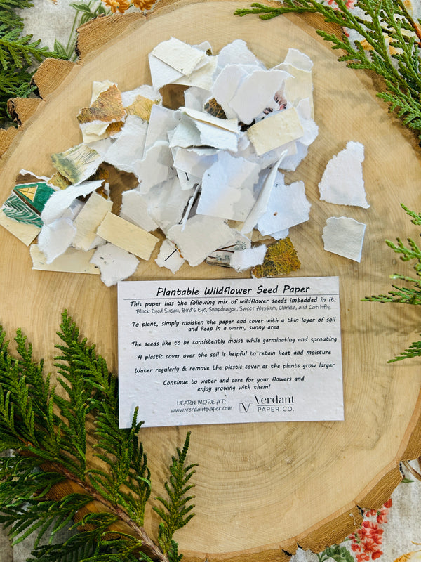 Bulk Plantable Confetti (Pre-Order)