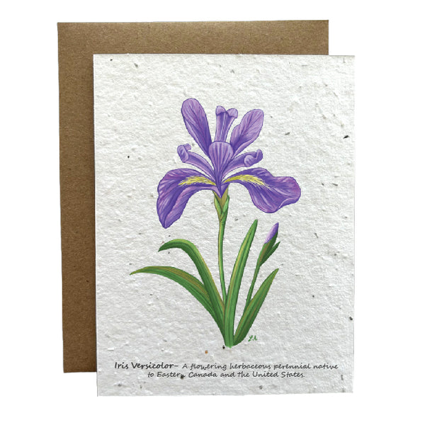 Iris Versicolor  Eco-Friendly Greeting Card