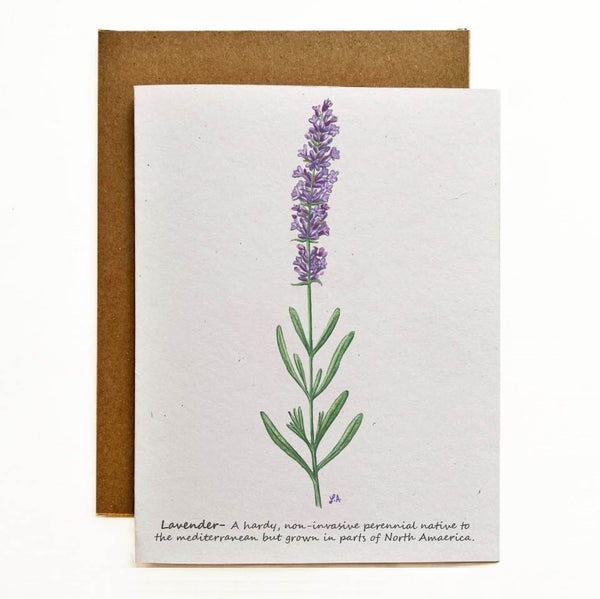 Lavender Eco-Friendly Greeting Card