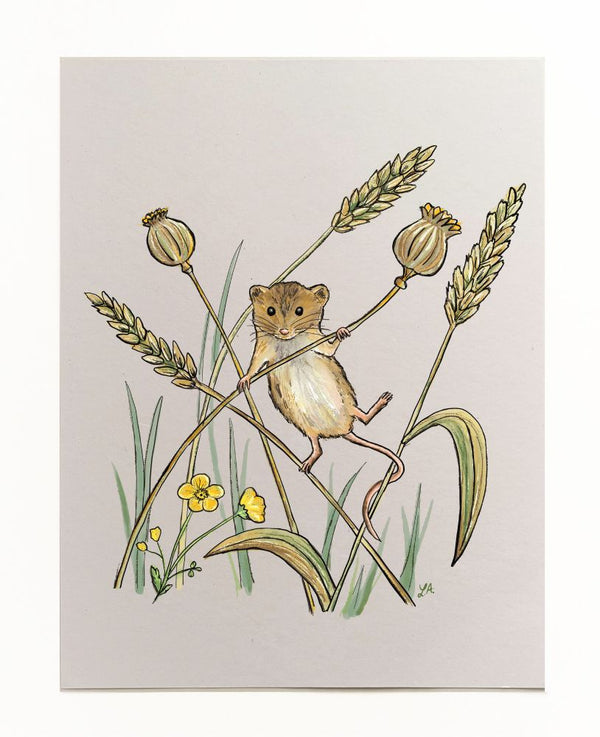 Harvest Mouse Art Print