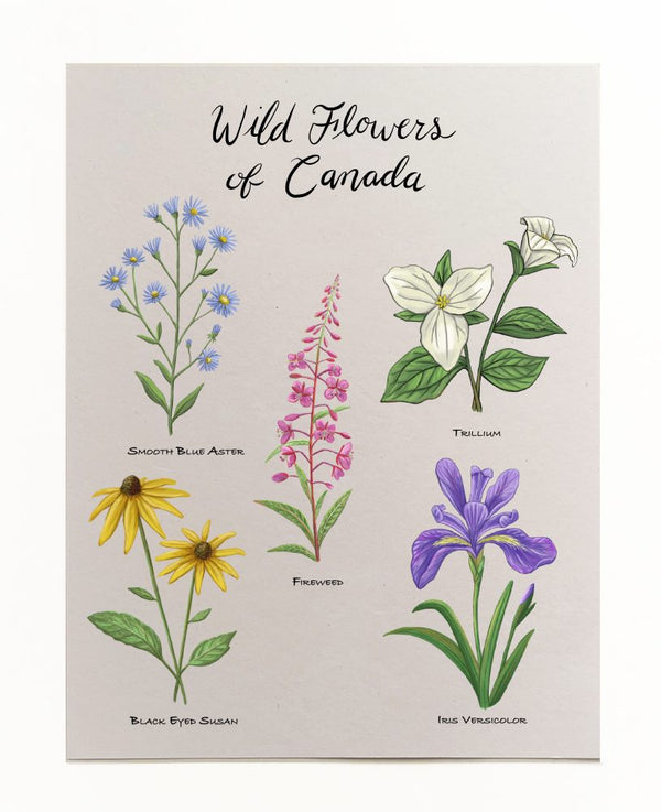 Wildflowers Of Canada Art Print