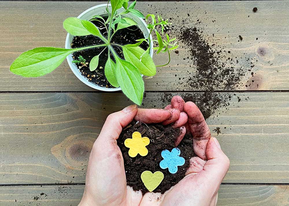 How to Get the Most Out Of Your Seed Paper: 3 Easy Steps – Verdant ...