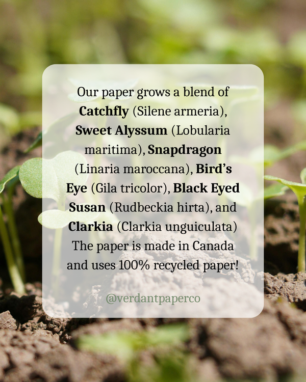 You Are The Bee's Knees!  Eco-Friendly Greeting Card