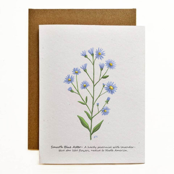 Blue Smooth Aster - Eco-Friendly Greeting Card