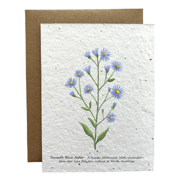 Blue Smooth Aster - Eco-Friendly Greeting Card