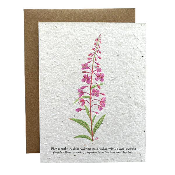 Fireweed Eco-Friendly Greeting Card