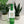 Congrats Bottle Tag