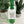 Congrats Bottle Tag