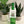 Happy Birthday Bottle Tag