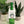 Thank You So Mush Bottle Tag