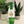 Bee Cozy Bottle Tag