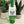 Adventure Continues Bottle Tag