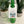 Adventure Continues Bottle Tag