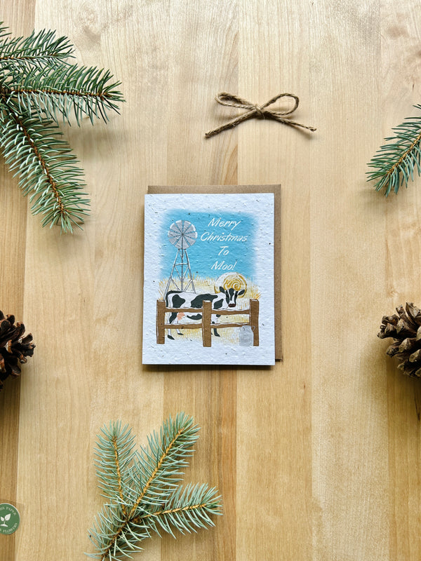 Merry Christmas to Moo!