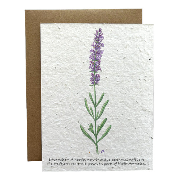 Lavender Eco-Friendly Greeting Card