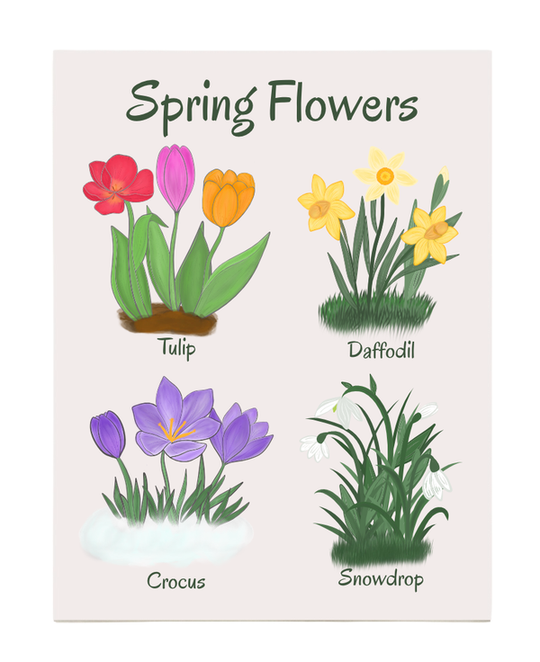 Spring Flowers Art Print