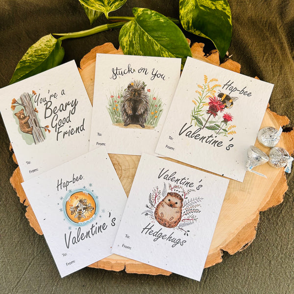 Plantable Valentine's Note Card Bundle #2