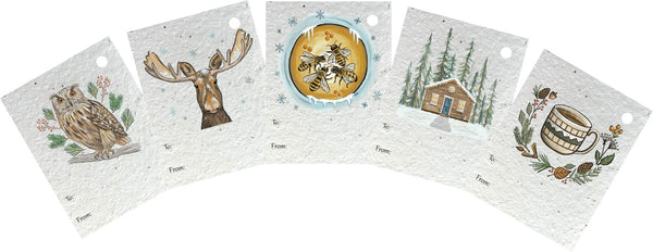 5 Pack of Winter Plantable Gift Tags
