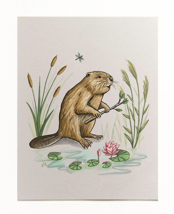 Spring Beaver Art Print