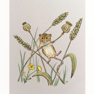 Harvest Mouse Art Print