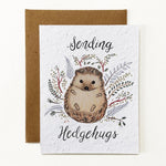 Sending Hedgehugs Hedgehog Seed Paper Greeting Card