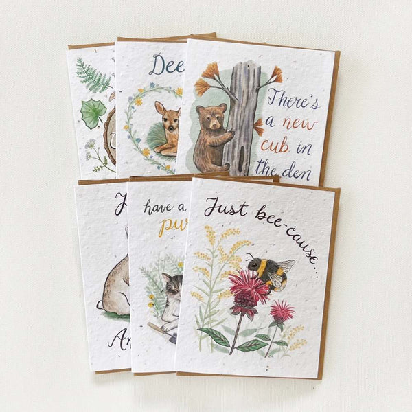 Pick 6 Plantable Greeting Cards