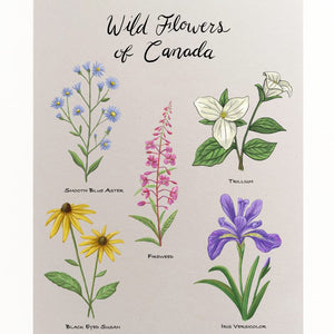 Wildflowers Of Canada Art Print